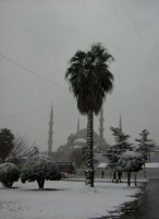 /album/fotos-overig/istan-10-small-jpg/